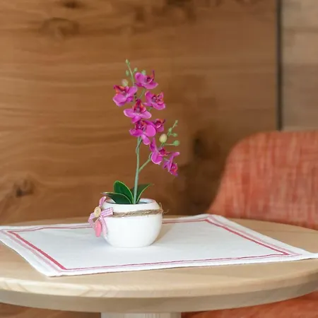 Tirolerhof - Wildschoenau - Premium Card Im Sommer Hotel 3*